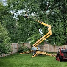 Best Tree Trimming and Pruning  in Lucasville, OH