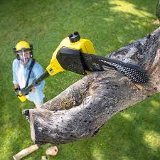 Best Lawn Mowing  in Lucasville, OH