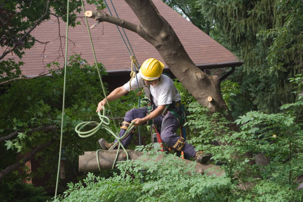 Soil Testing and Treatment in Lucasville, OH